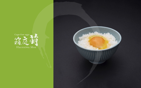 懐かしさを感じる 箱庭たまご 「箱庭萌」 9個 ギフトボックス