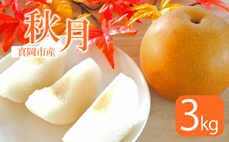 【2026年先行予約】 秋月 3㎏ 真岡市産 梨 なし
