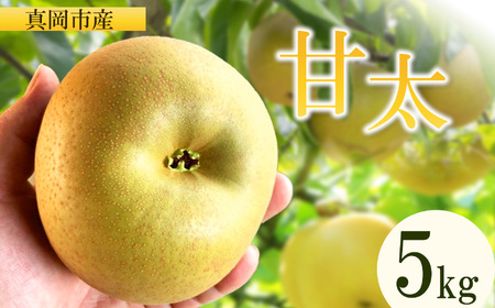 [2026年先行予約] 甘太 5kg 真岡市産 梨 なし