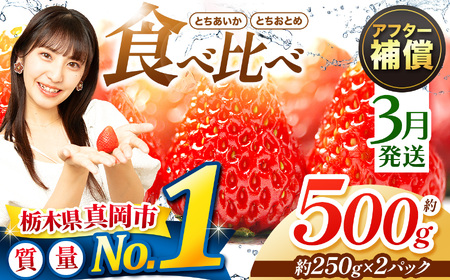 y3z ƂƂ߁EƂ Hה 500g