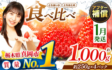 y1z ƂƂ߁EƂ Hה 1000g