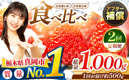 [定期便2回]いちご とちおとめ・とちあいか 食べ比べ 500g