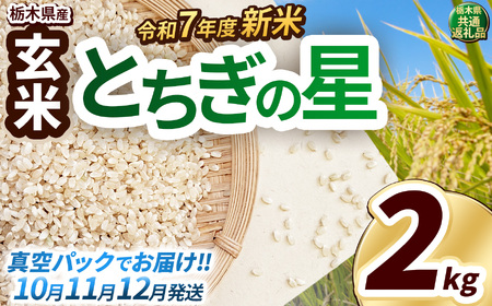 新米 とちぎの星 玄米真空パック 約2kg