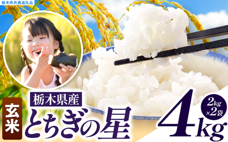 とちぎの星 玄米 約4kg