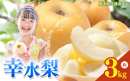 栃木県産梨 幸水 3kg