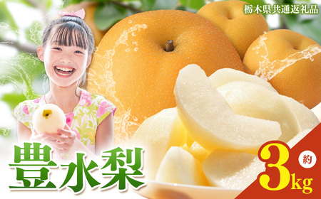 栃木県産梨 豊水 3kg