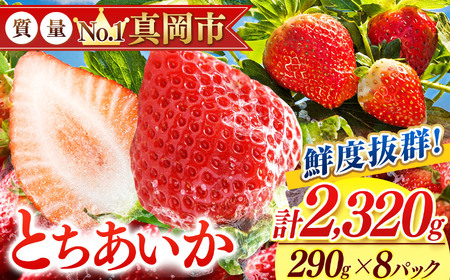 NxQ Ƃ 4 (290g×8) 1740g