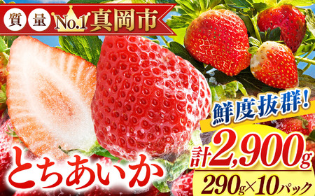 NxQ Ƃ 5 (290g×10) 2900g