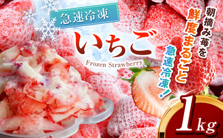 Ⓚ Ƃ 1kg Jbgς 󂠂