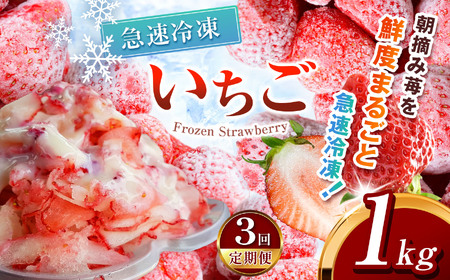 y3zⓀ Ƃ 1kg Jbgς 󂠂