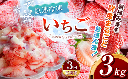 y3zⓀ Ƃ 3kg Jbgς 󂠂