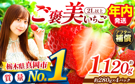 y11`12zJ Ƃ 2Lȏ 1120g 280g×4pbN