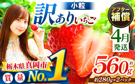 y4z󂠂  Ƃ 560g i280g×2pbNj