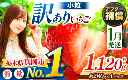 y1z󂠂  Ƃ 1120g i280g×4pbNj