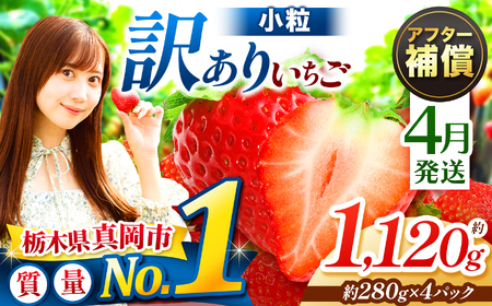 y4z󂠂  Ƃ 1120g i280g×4pbNj