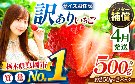 y4z󂠂 Ƃ TCY C 500gi250g×2pbNj