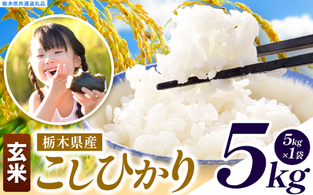 こしひかり 玄米 約5kg