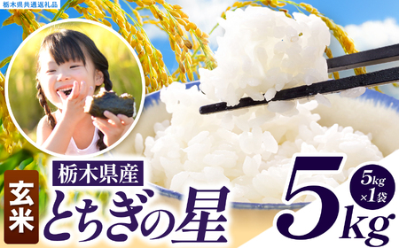 令和8年度産 先行予約 とちぎの星 玄米 約5kg