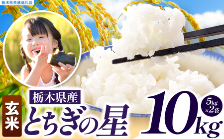 とちぎの星 玄米 約10kg