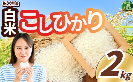 こしひかり 白米 2kg