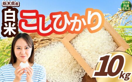 �����Ђ��� ���� 10kg