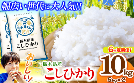 y6zȖ،YRVqJ 5kg×2i10kgj