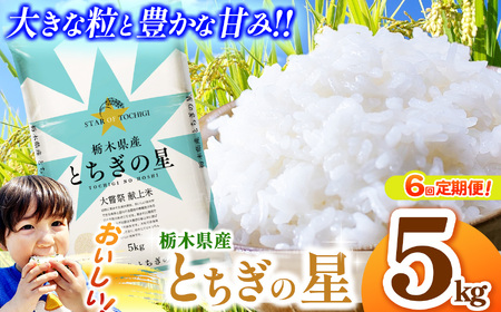 【定期便6回】栃木県産とちぎの星 5kg