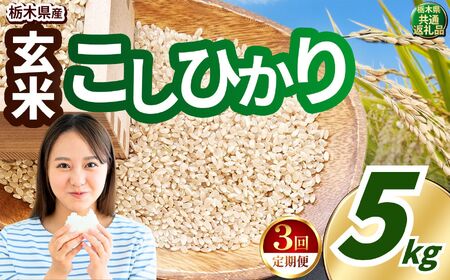 �y�����3��z�����Ђ��� ���� ��5kg