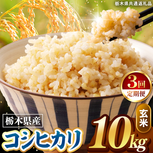 令和8年度産 先行予約 【定期便3回】こしひかり 玄米 約10kg