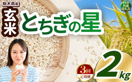 [定期便3回]とちぎの星 玄米 約2kg