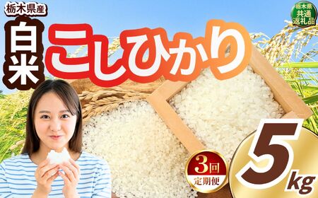 令和8年度産 先行予約 【定期便3回】こしひかり 白米 約5kg