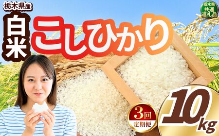 令和8年度産 先行予約 【定期便3回】こしひかり 白米 約10kg