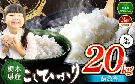 �y�����3��z���� �����Ђ��� ������ 20kg