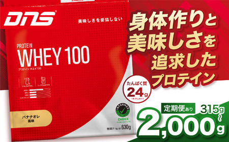 【定期便12回】DNS プロテインホエイ 100 バナナオレ 風味 315g