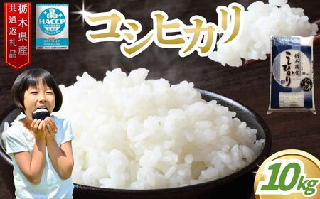 ���ăA�h�o�C�U�[ �� �q�����I�I �Ȗ،��Y�R�V�q�J�� 10kg