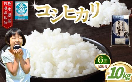 �y6�����ցz���ăA�h�o�C�U�[ �� �q�����I�I �Ȗ،��Y�R�V�q�J�� 10kg