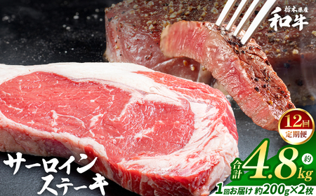 �y�����12��z�Ȗ،��Y�a�� �T�[���C���X�e�[�L ��200gx2��