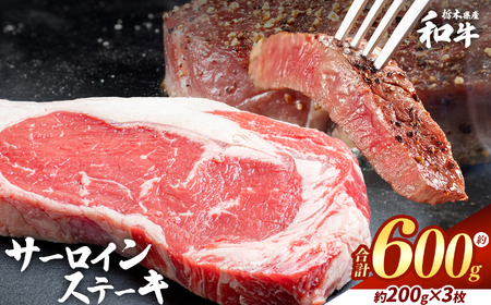 栃木県産和牛 サーロインステーキ 約200gx3枚