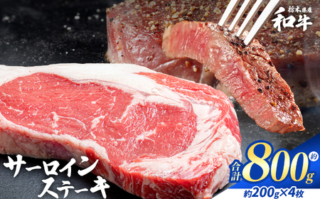 �Ȗ،��Y�a�� �T�[���C���X�e�[�L ��200gx4��