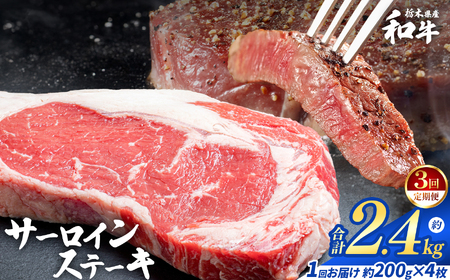 �y�����3��z�Ȗ،��Y�a�� �T�[���C���X�e�[�L ��200gx4��