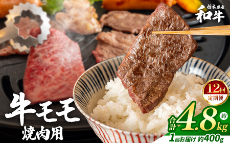 �y�����12��z�Ȗ،��Y�a�� �����Ă��� ��400g