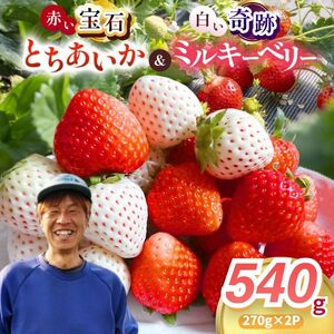 [2027年先行予約]真岡市産 赤い宝石「とちあいか」・白い奇跡「ミルキーベリー」セット 540g(CN)