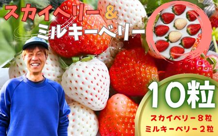 スカイベリー・ミルキーベリー 10粒