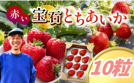 [2027年先行予約]とちあいか 10粒 (CN)