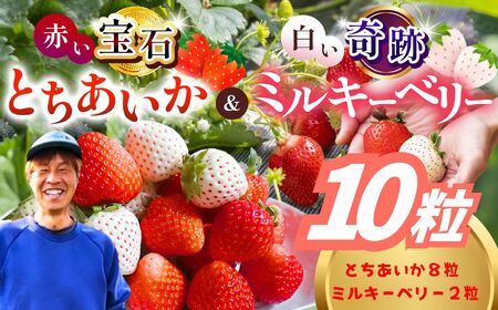 [2027年先行予約]とちあいか・ミルキーベリー 10粒(CN)