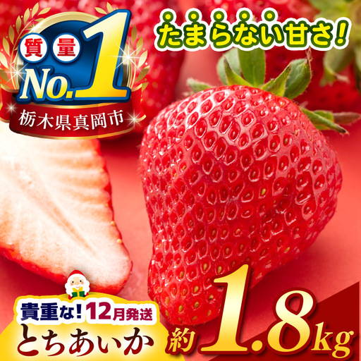 【2026年12月発送】【先行予約】 栃木のこでらんないイチゴ（とちあいか） 約300g×6
