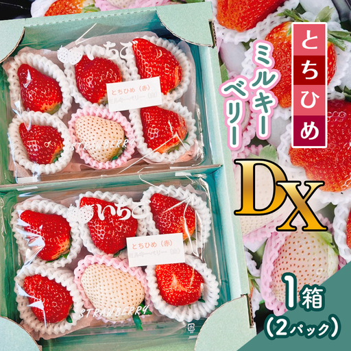 [2026年12月以降発送]とちひめ・ミルキーベリー食べ比べセット DX