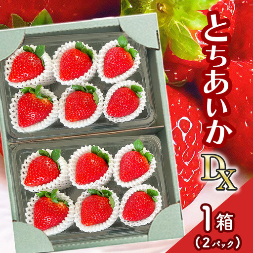 [2027年1月以降発送]とちあいか DX