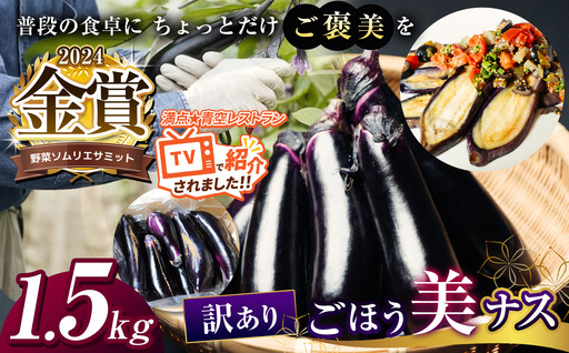 農家さん応援!訳ありごほう美ナス 約1.5kg