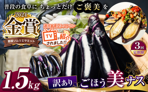 [定期便3回]農家さん応援!訳ありごほう美ナス 約1.5kg